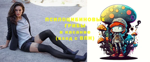 индика Хадыженск