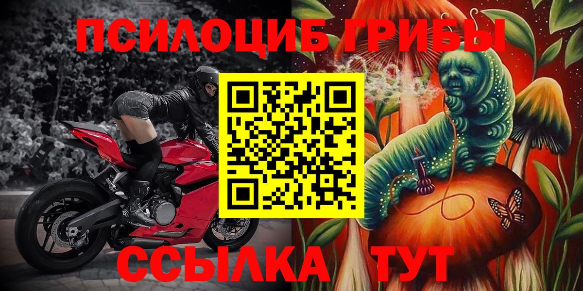 Галлюциногенные грибы ЛСД  Вход с VPN  Аксай  Галлюциногенные грибы Psilocybine cubensis 